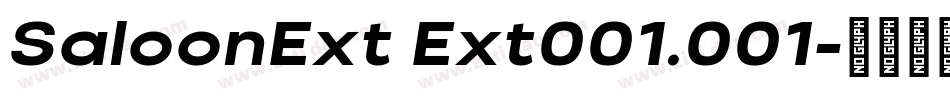 SaloonExt Ext001.001字体转换